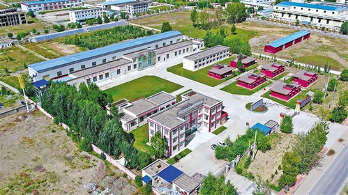 放大公司優勢 做強特色產業