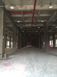 金山工業園區朱涇亭衛公路6萬平米可食品醫藥生物廠房出租分租