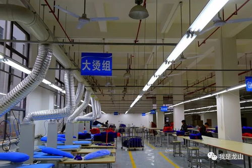 家門口的選擇 寶塔工業園區首家企業已投產,眾多崗位等你來