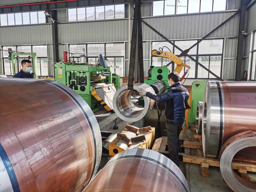 寧波神馬集團孵出 金鳳凰