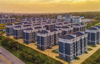 市城投公司高質量 高標準推進棚改項目