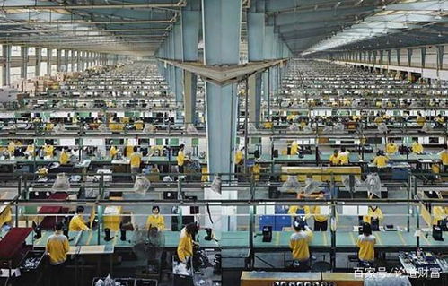 加快跨境電商工業園建設 哈文跨境的戰略選擇